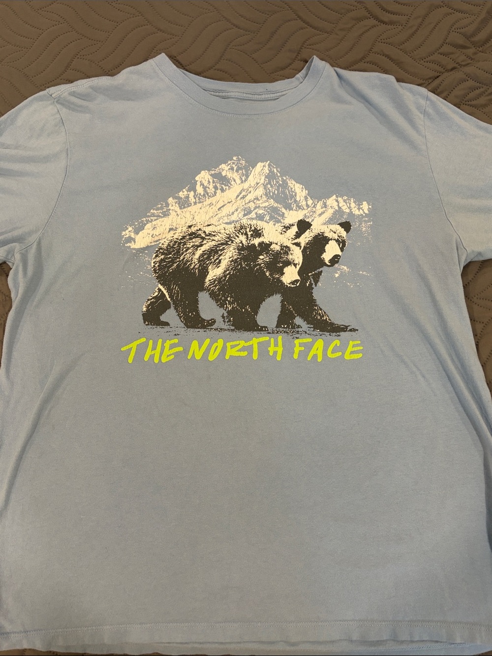 The North Face Light Blue Bear Graphic Short Sleeve Tee